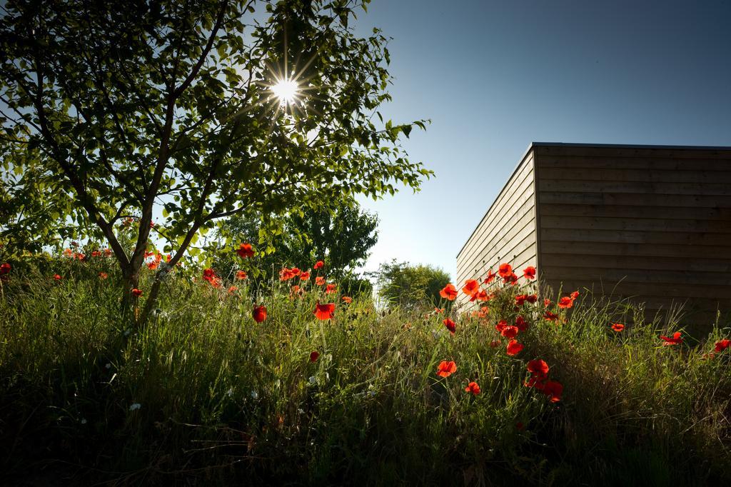 Ecolodge Le Bruit De L'Eau Saint-Quentin-en-Tourmont Exterior photo